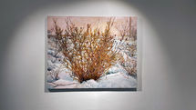 See Painting by Iman Sadeghi at Farmanfarma  Gallery 