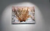 See Painting by Iman Sadeghi at Farmanfarma  Gallery 