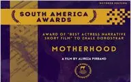 Iranian actress wins prize at South America Awards