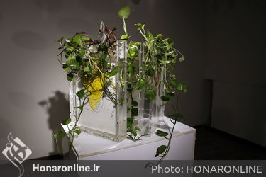 نمایشگاه گروهی با عنوان نازادی با انتخاب شهرام انتخابی و آسیه سلیمیان در گالری آ