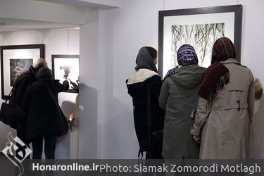 نمایشگاه نقاشی عارف گرانمایه در گالری مژده