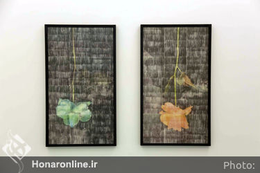 نمایشگاه گروهی "فتوژنیک" در گالری سو
