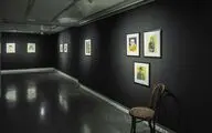 چند نگارخانه جدید مجوز کار گرفتند؟