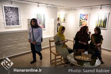 نمایشگاه عکس محمد صادق نیک‌نهاد در گالری گلستان