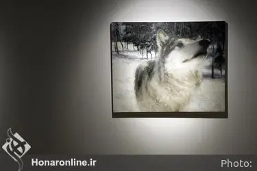 نمایشگاه نقاشی‌های یاسر میرزایی در گالری آ