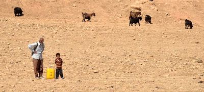 «ایرو» در نیویورک اکران می‌شود