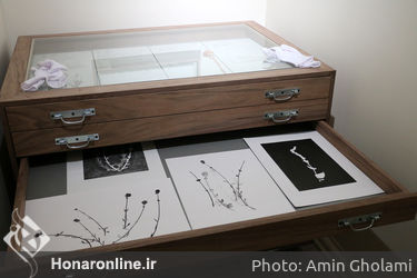 نمایشگاه آثار فرناز ربیعی‌جاه در گالری این جا